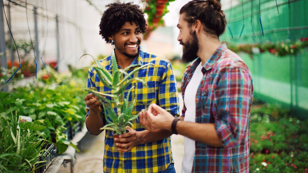 busca-viveros-colombia